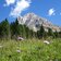 wiesen unter dem wuerzjoch blick auf peitlerkofel