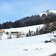 nasen percha winter