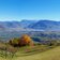 herbst aussicht auf bozen ab buchwald Pano