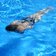 Schwimmen Groeden