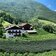 Villscheider