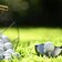 golf ball schlaeger suedtirol