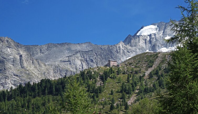 kasseler huette dahinter hochgall