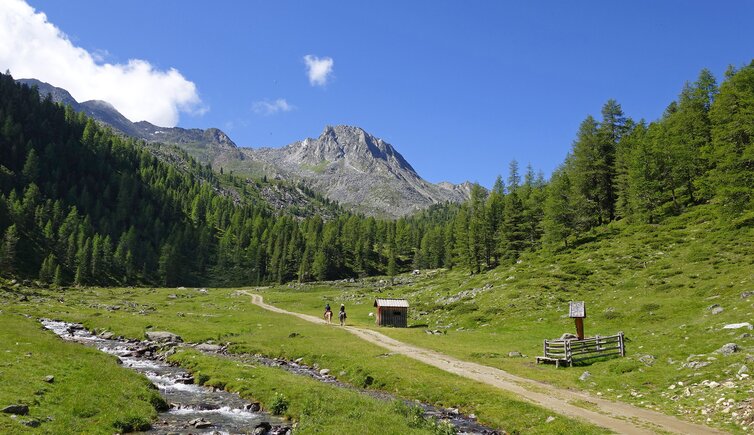 reiter am weg zur penaudalm