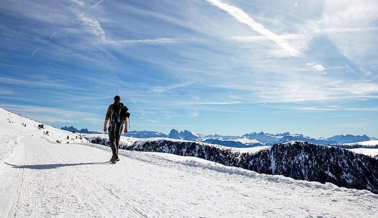 wandern dolomiten panorama person winter