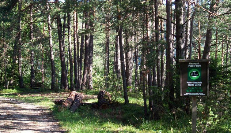 truden mountainbike und wanderweg alte bahntrasse durch nadelwald schild naturpark trudner horn