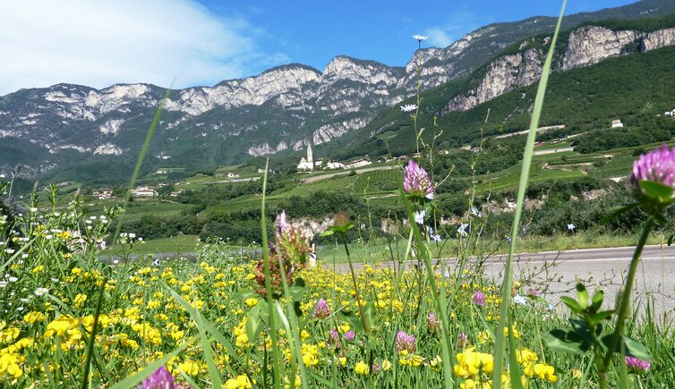 kurtatsch mit blumen