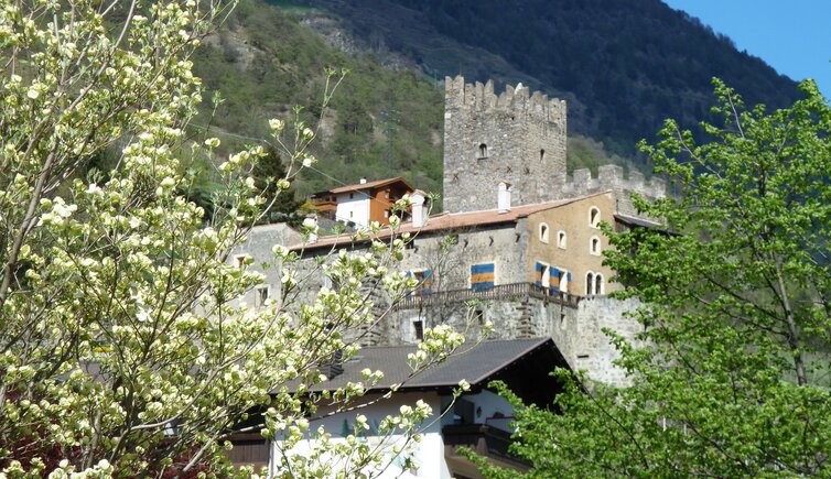 schloss hochnaturns fruehling