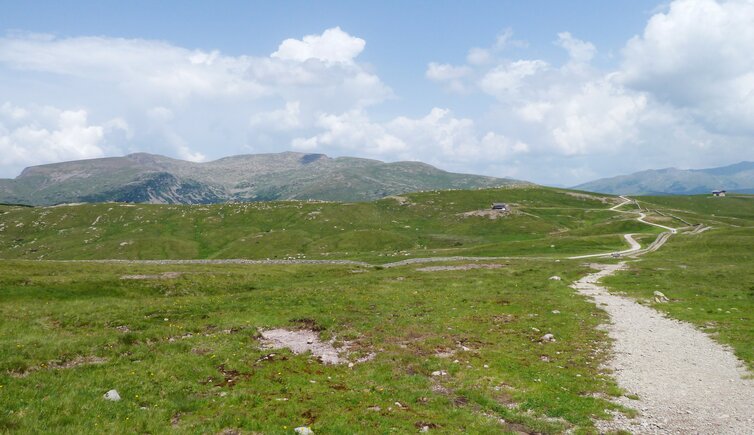 blick richtung villanderer berg ab rittner horn