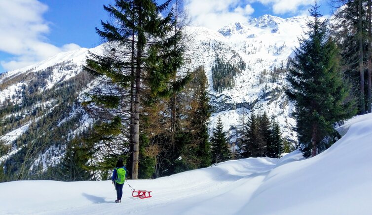 stilfserjoch strasse winter rodelweg