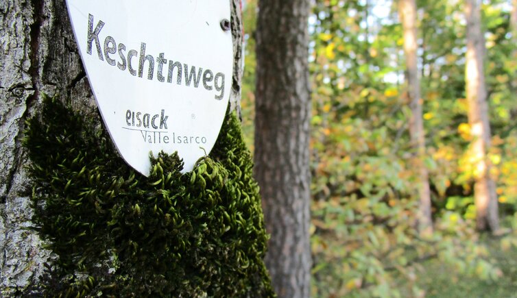 Keschtnweg Kastanienweg Ritten Schild