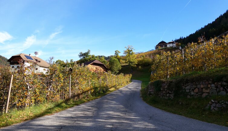 weg herbst bei signat ritten