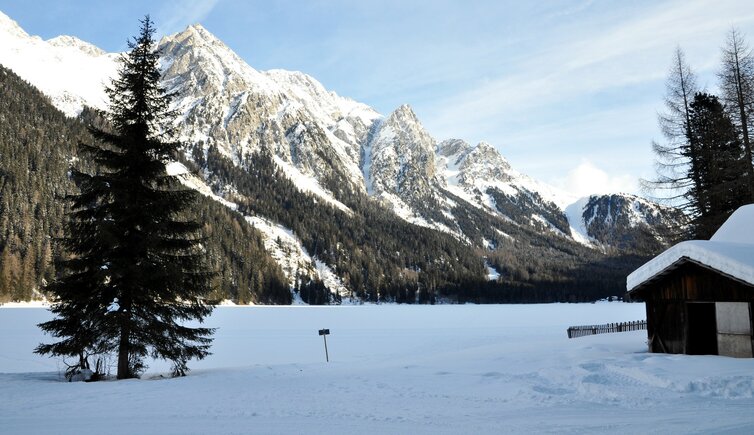 Antholz Obertal Antholzer See Winter