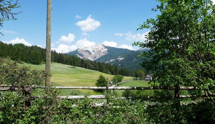 aldein weisshorn