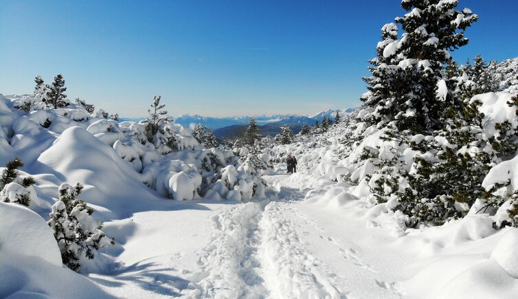 C dji weisshorn winter winterlandschaft schnee personen schneeschuh wandern