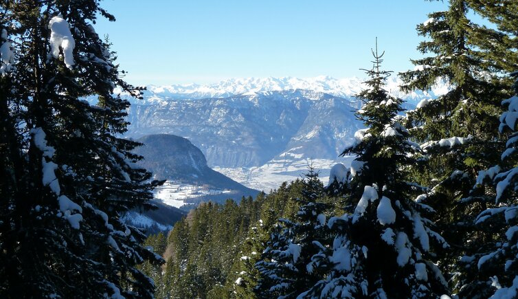 kalditsch dahinter tramin roen und brenta gruppe winter