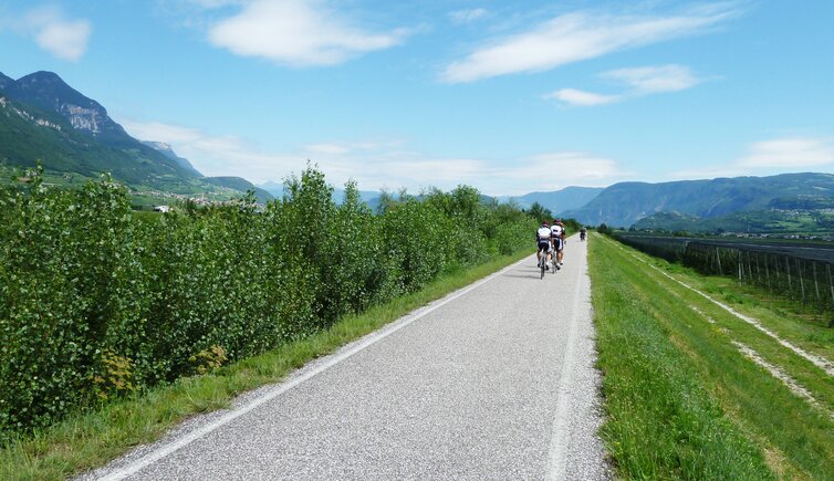 etsch radweg bei laag radfahrer