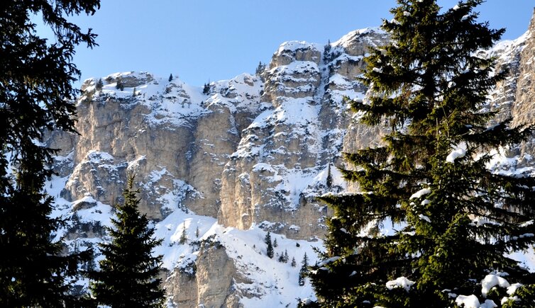 Ueberetscherhuette Blick durch Baeume auf Roen