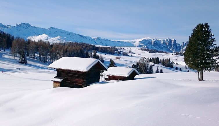 Seiser Alm Ritsch Loipe Winterlandschaft Schlern Rosszaehne