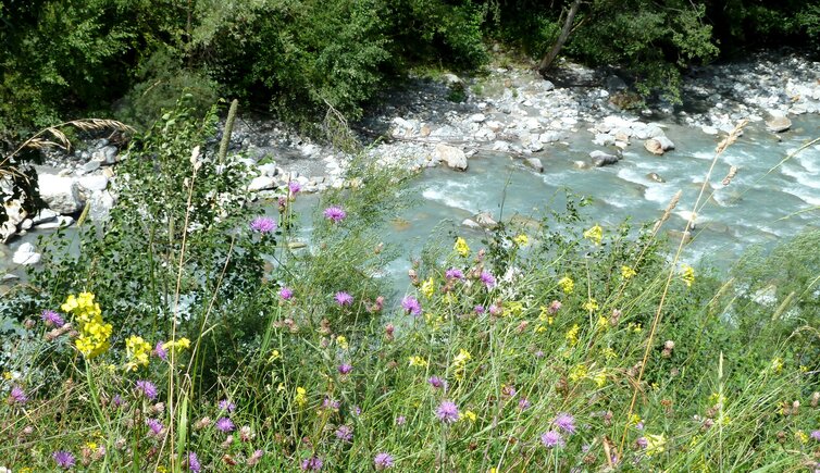 etsch bei goeflan