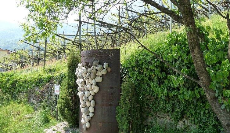 weinlehrpfad kurtatsch weinstrasse grosse traube