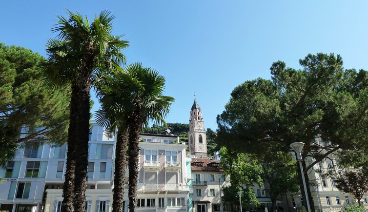 meran palmen und turm nikolaus pfarrkirche