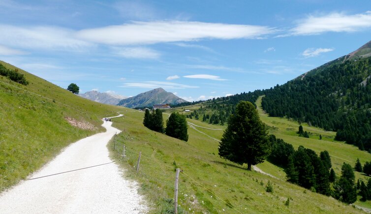 aldein forstweg gurndin alm jochgrimm