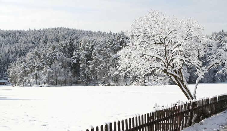 Wolfsgruben Wolfsgrubenersee Ritten
