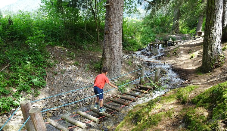 wasserwaldile niederrasen kind person