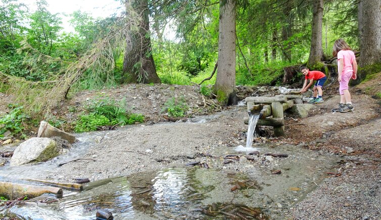 wasserwaldile niederrasen kinder personen