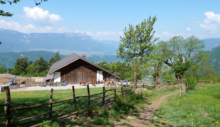 leiferer hoehenweg breitenberg reitstall steinerhoefe