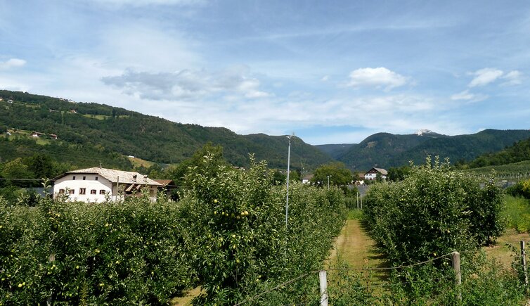 montan ortsteil kalditsch doladizza