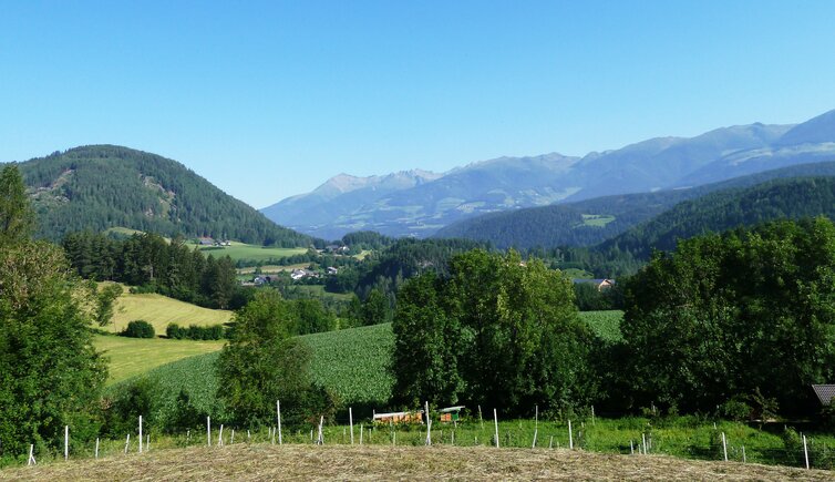 st lorenzen moos blick richtung runggen