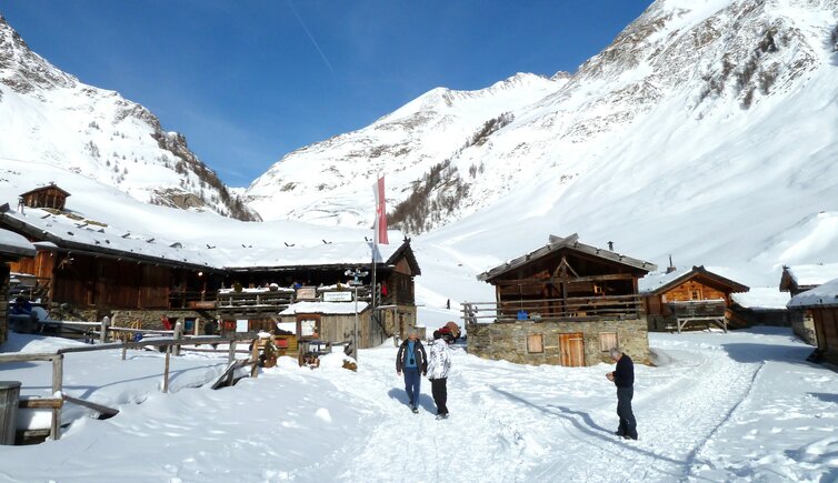 fane alm vals winter jausenstation zingerle