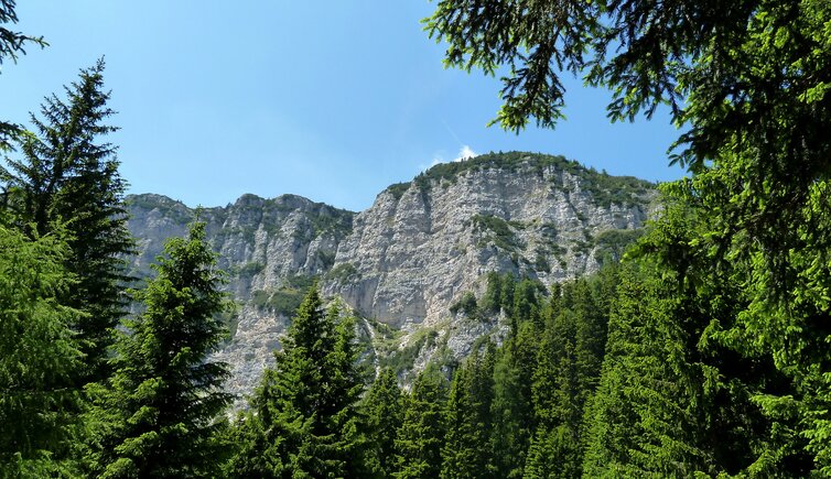 monte roen felsen oberhalb ueberetscher huette