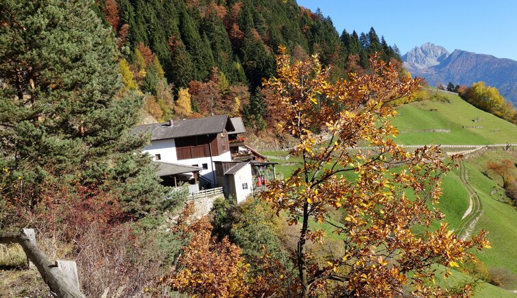 weg nr bei muthof talbauer herbst