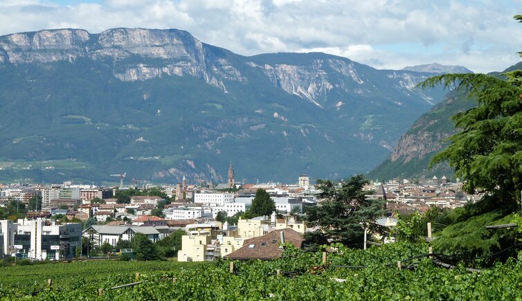 blick von bozner boden nach bozen zentrum