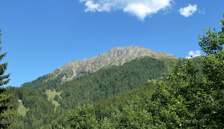 laugenspitze ober ultental