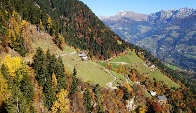 muthoefe herbstwald und aussicht dorf tirol umgebung fr