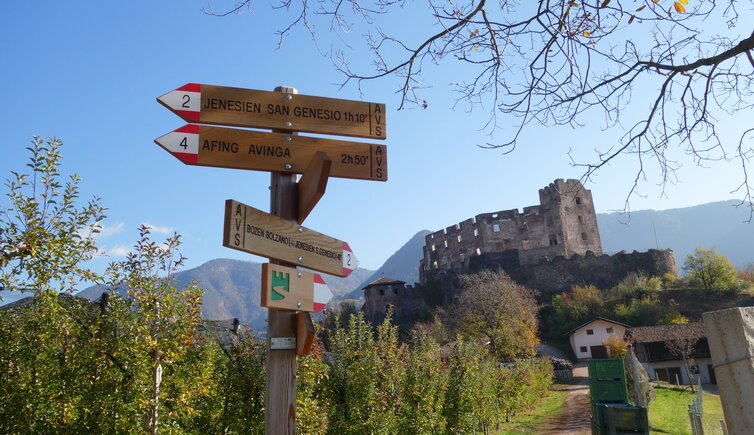 herbst jenesien wegweiser bei rafenstein