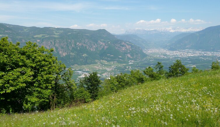 perdonig lipp blick auf bozen