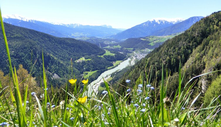 muehlbacher stausee und muehlbach