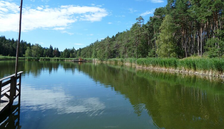 voelser weiher nordufer