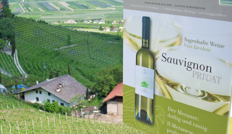 wein bei tscherms schild sauvignon