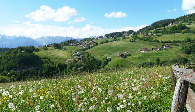 hafling oberdorf