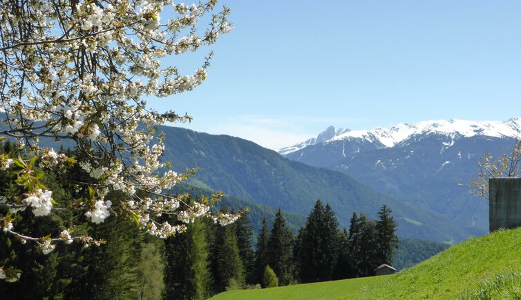 fruehling bei meransen aussicht plose