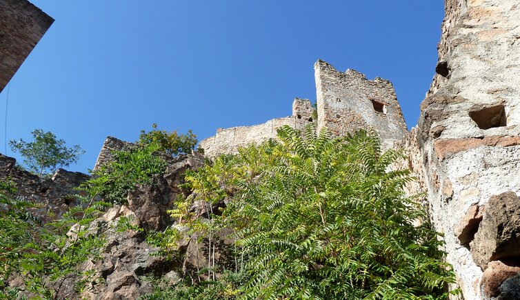 terlan burg ruine neuhaus maultasch