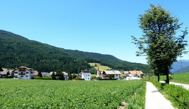 olang niederolang und kartoffelacker