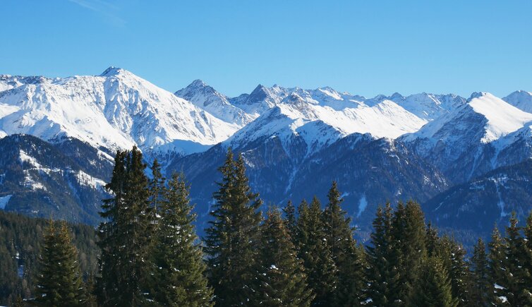 blick von hoeg alm auf glockturmgruppe oetztaler alpen fr