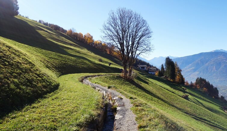 schenner waalweg oberhalb verdins herbstlandschaft